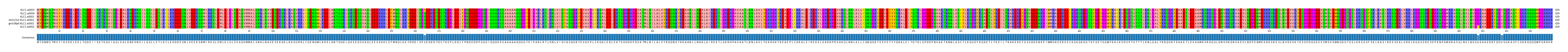 Multiple Alignments (by translate haplotype similarity)