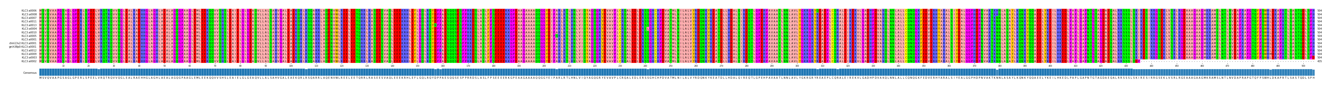 Multiple Alignments (by translate haplotype similarity)