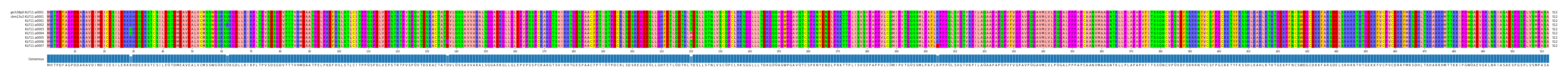 Multiple Alignments (by translate haplotype frequency)