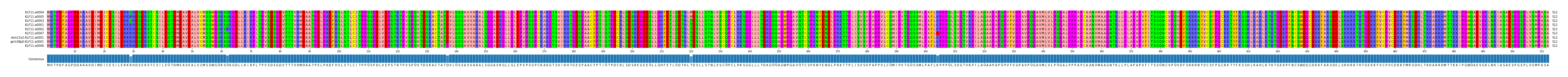 Multiple Alignments (by translate haplotype similarity)