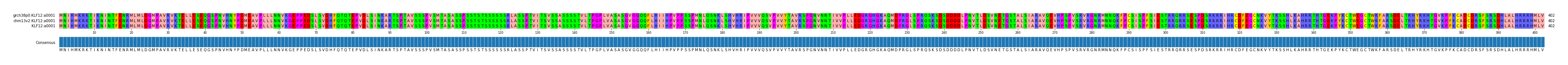 Multiple Alignments (by translate haplotype similarity)