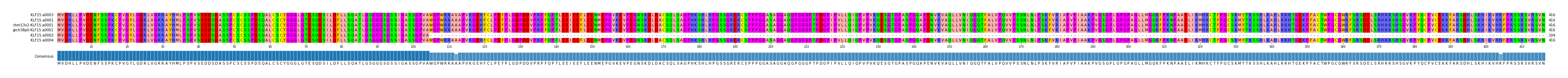 Multiple Alignments (by translate haplotype similarity)