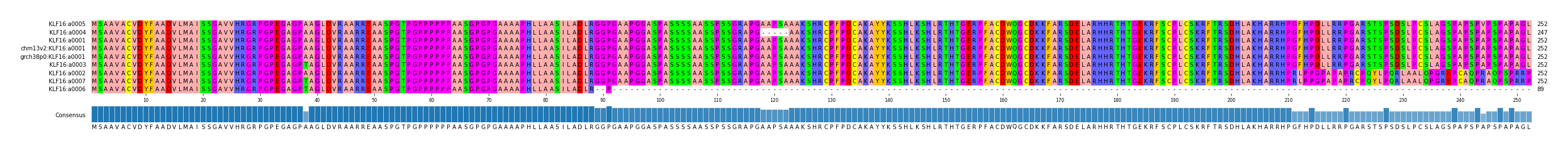 Multiple Alignments (by translate haplotype similarity)