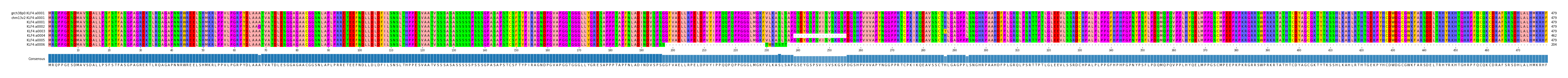 Multiple Alignments (by translate haplotype frequency)