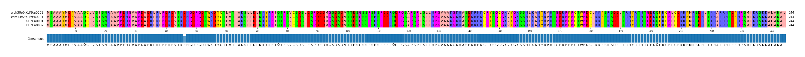Multiple Alignments (by translate haplotype similarity)