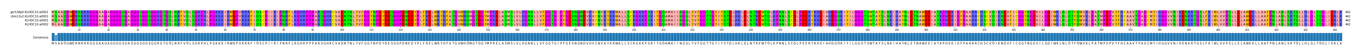 Multiple Alignments (by translate haplotype similarity)