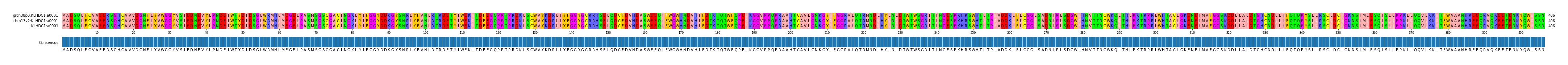 Multiple Alignments (by translate haplotype similarity)