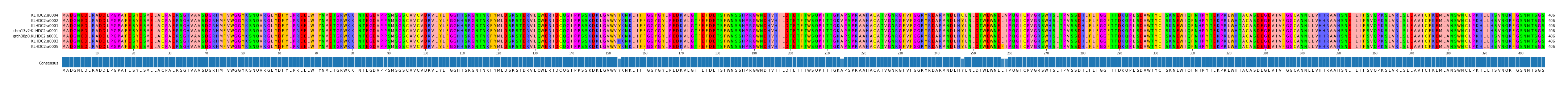 Multiple Alignments (by translate haplotype similarity)