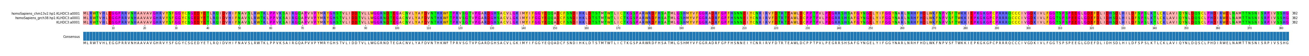 Multiple Alignments (by translate haplotype similarity)