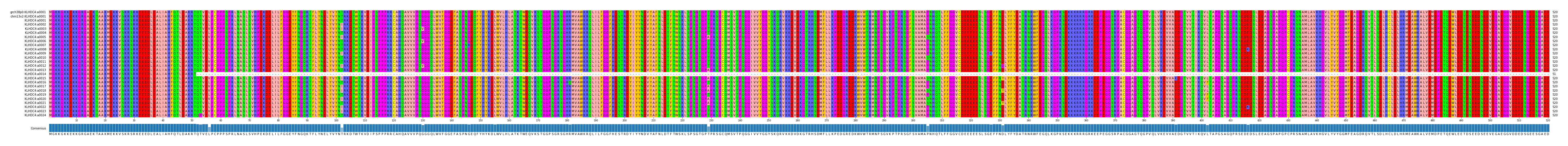 Multiple Alignments (by translate haplotype frequency)