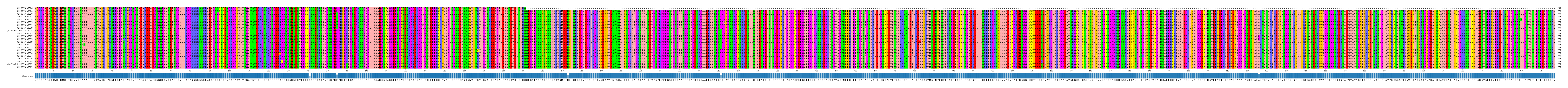 Multiple Alignments (by translate haplotype similarity)