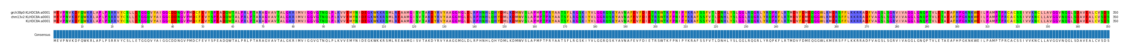 Multiple Alignments (by translate haplotype similarity)