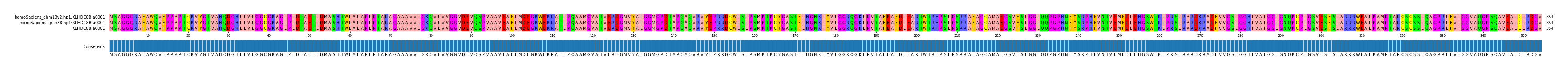 Multiple Alignments (by translate haplotype frequency)