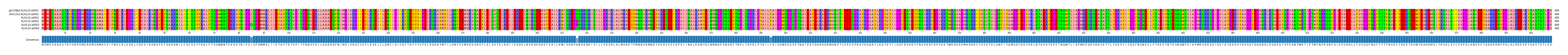 Multiple Alignments (by translate haplotype frequency)