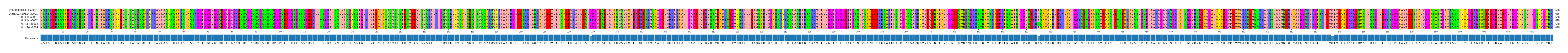 Multiple Alignments (by translate haplotype frequency)