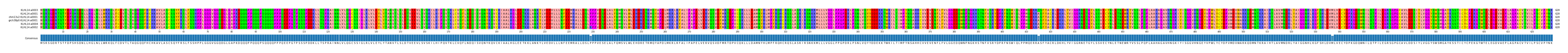 Multiple Alignments (by translate haplotype similarity)