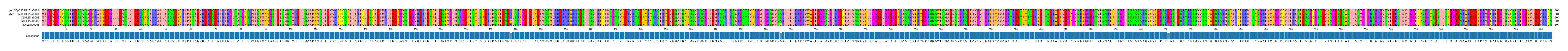 Multiple Alignments (by translate haplotype frequency)
