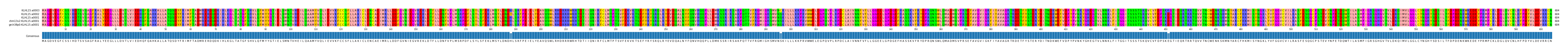 Multiple Alignments (by translate haplotype similarity)