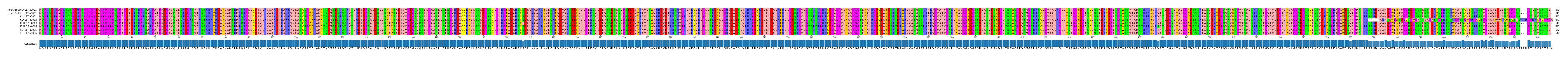 Multiple Alignments (by translate haplotype frequency)