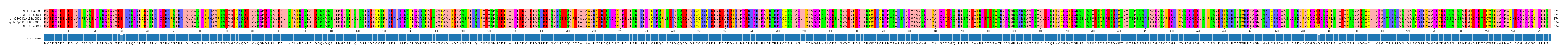 Multiple Alignments (by translate haplotype similarity)