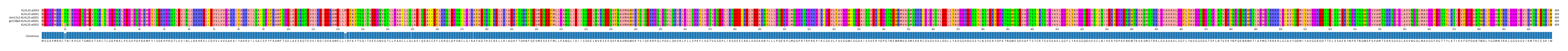 Multiple Alignments (by translate haplotype similarity)