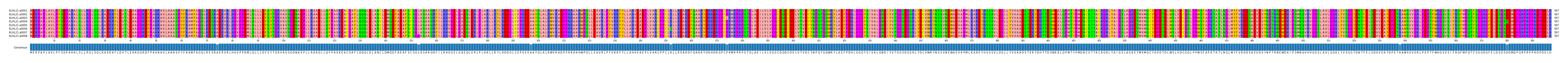 Multiple Alignments (by translate haplotype frequency)