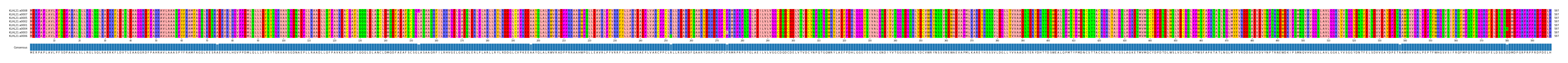 Multiple Alignments (by translate haplotype similarity)