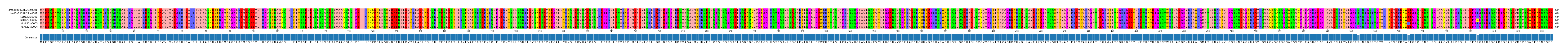 Multiple Alignments (by translate haplotype frequency)