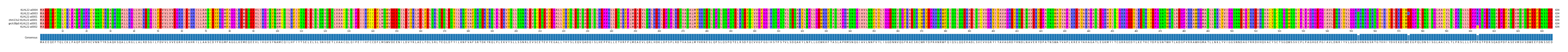 Multiple Alignments (by translate haplotype similarity)