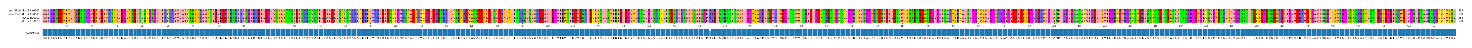 Multiple Alignments (by translate haplotype similarity)