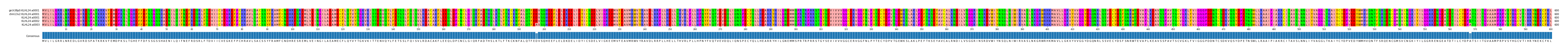 Multiple Alignments (by translate haplotype frequency)