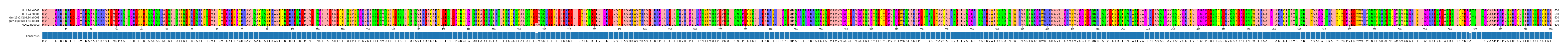 Multiple Alignments (by translate haplotype similarity)