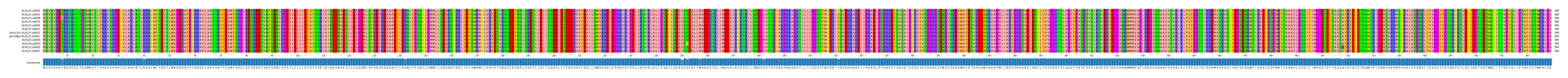 Multiple Alignments (by translate haplotype similarity)