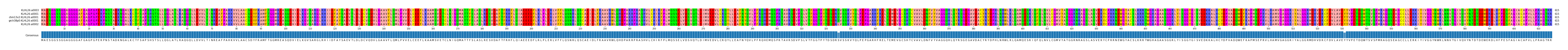Multiple Alignments (by translate haplotype similarity)