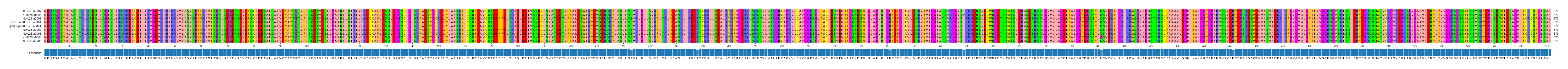Multiple Alignments (by translate haplotype similarity)