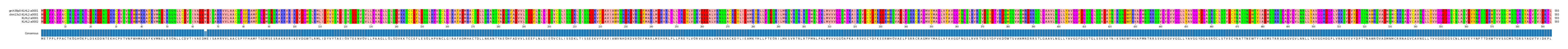 Multiple Alignments (by translate haplotype similarity)