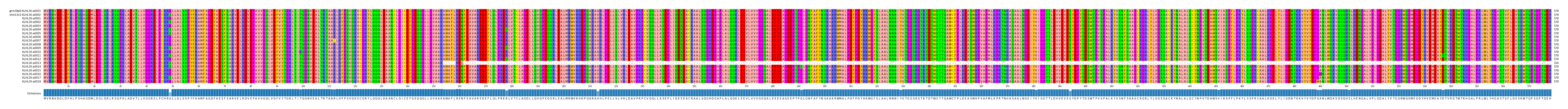 Multiple Alignments (by translate haplotype frequency)