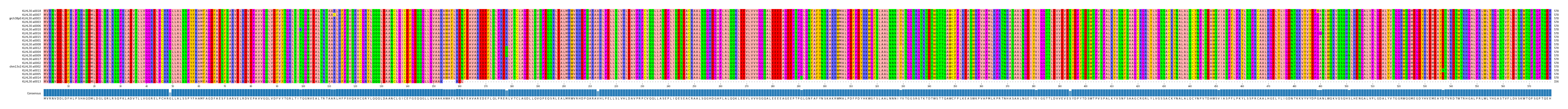 Multiple Alignments (by translate haplotype similarity)