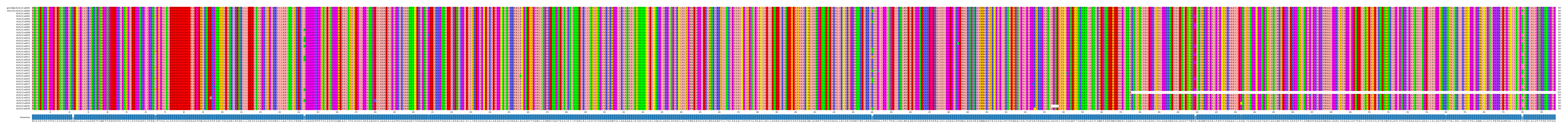 Multiple Alignments (by translate haplotype frequency)