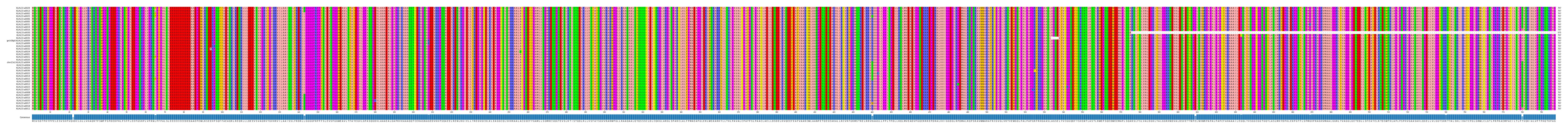 Multiple Alignments (by translate haplotype similarity)
