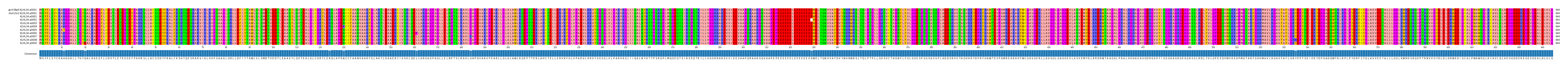 Multiple Alignments (by translate haplotype frequency)