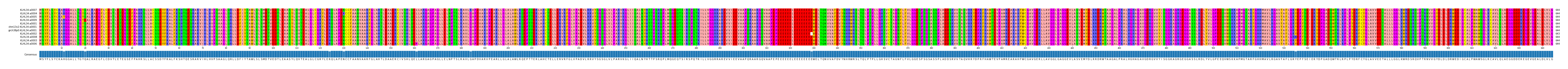 Multiple Alignments (by translate haplotype similarity)