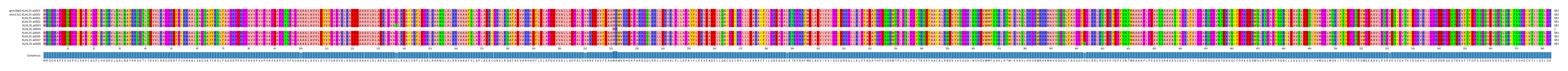 Multiple Alignments (by translate haplotype frequency)