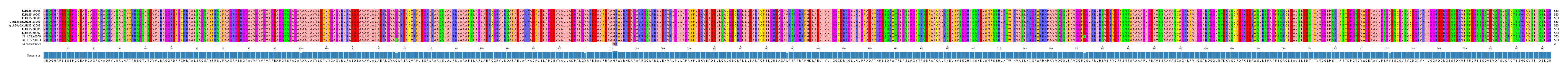 Multiple Alignments (by translate haplotype similarity)