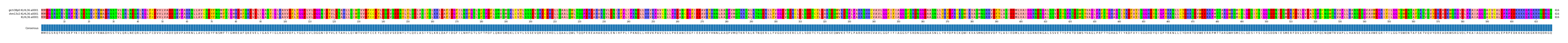 Multiple Alignments (by translate haplotype similarity)