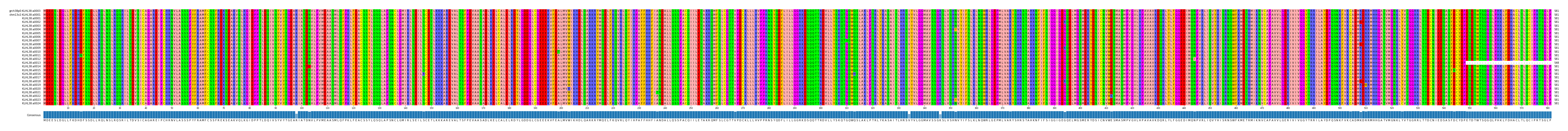 Multiple Alignments (by translate haplotype frequency)