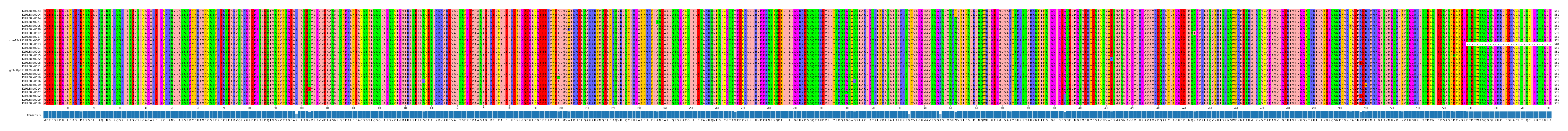 Multiple Alignments (by translate haplotype similarity)