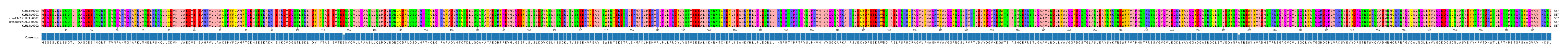 Multiple Alignments (by translate haplotype similarity)