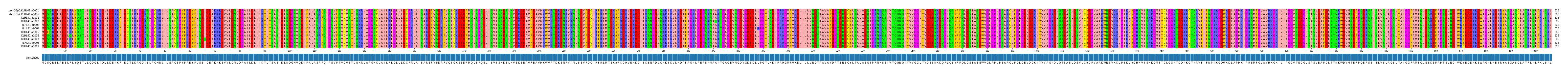 Multiple Alignments (by translate haplotype frequency)