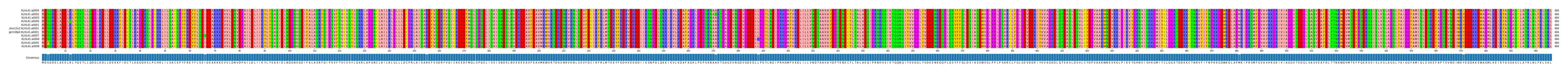 Multiple Alignments (by translate haplotype similarity)